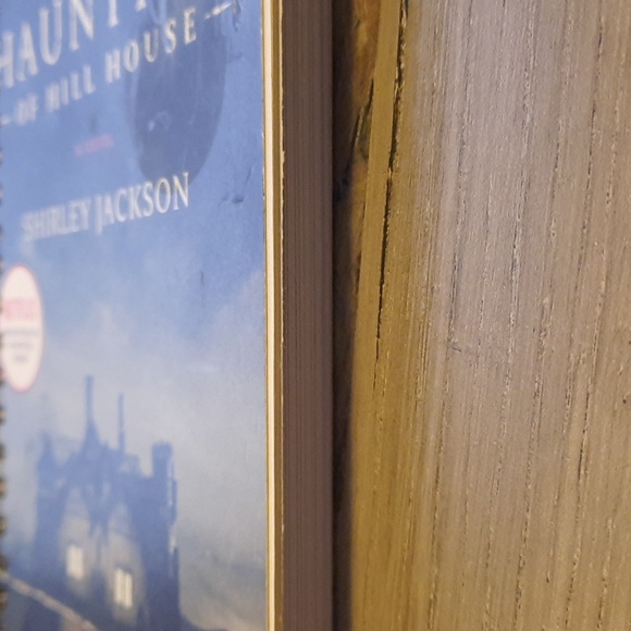 Secret Journal " The Haunting of Hill House" - Picture 6 of 6